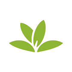 Application Plantnet identifier une plante ou un arbre